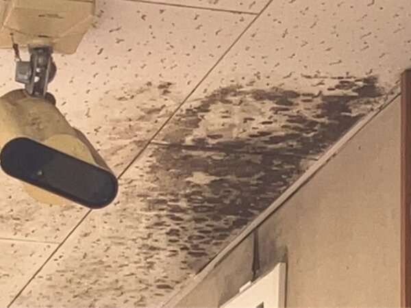 某飲食店舗大分県天井工事の画像