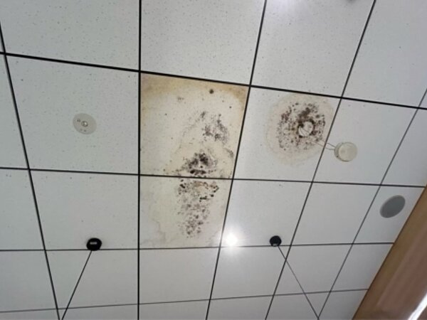 某回転寿司チェーン店舗田川ソーラトン目透かし工法の画像